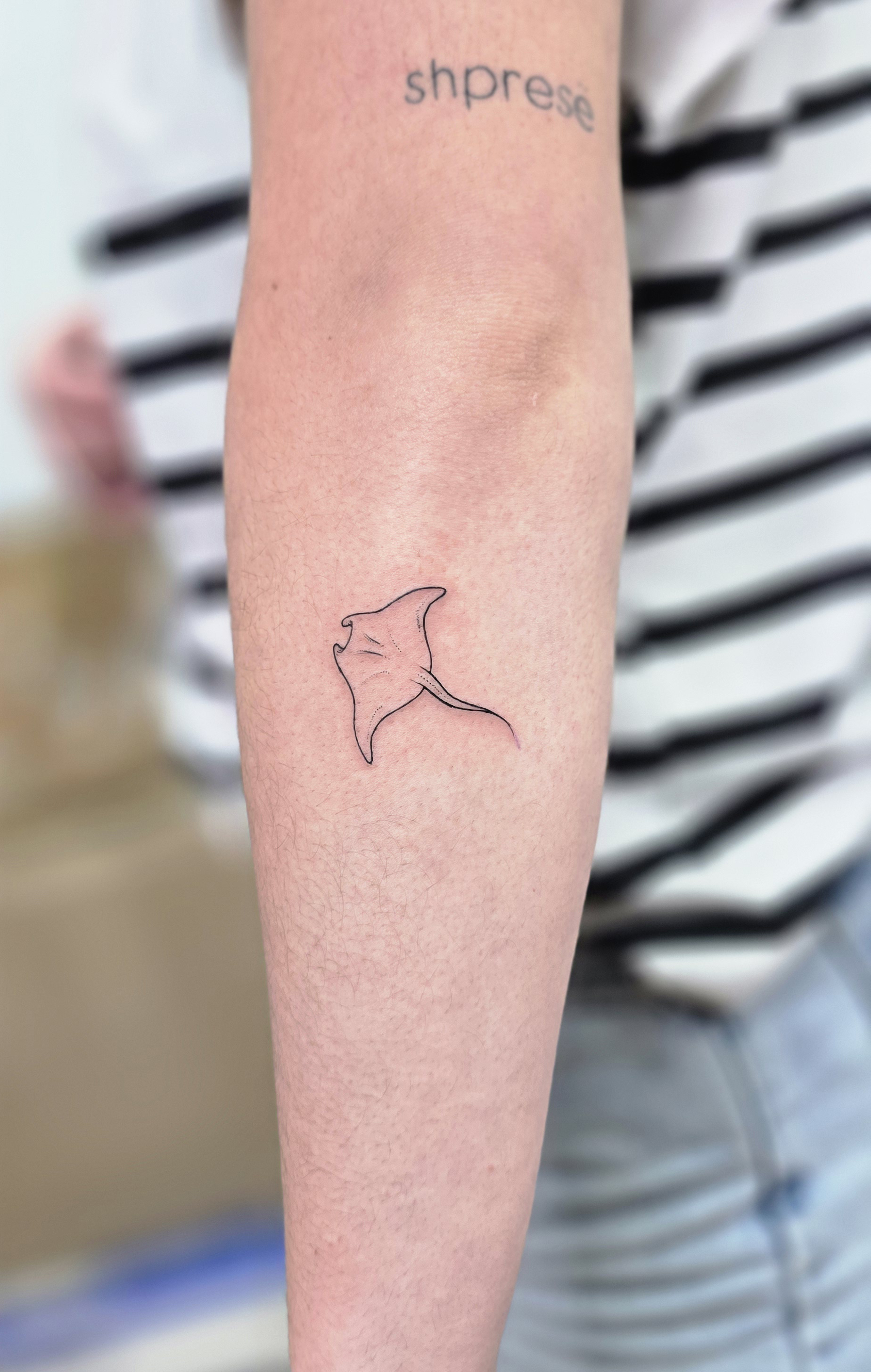 Fine Line · Funchal