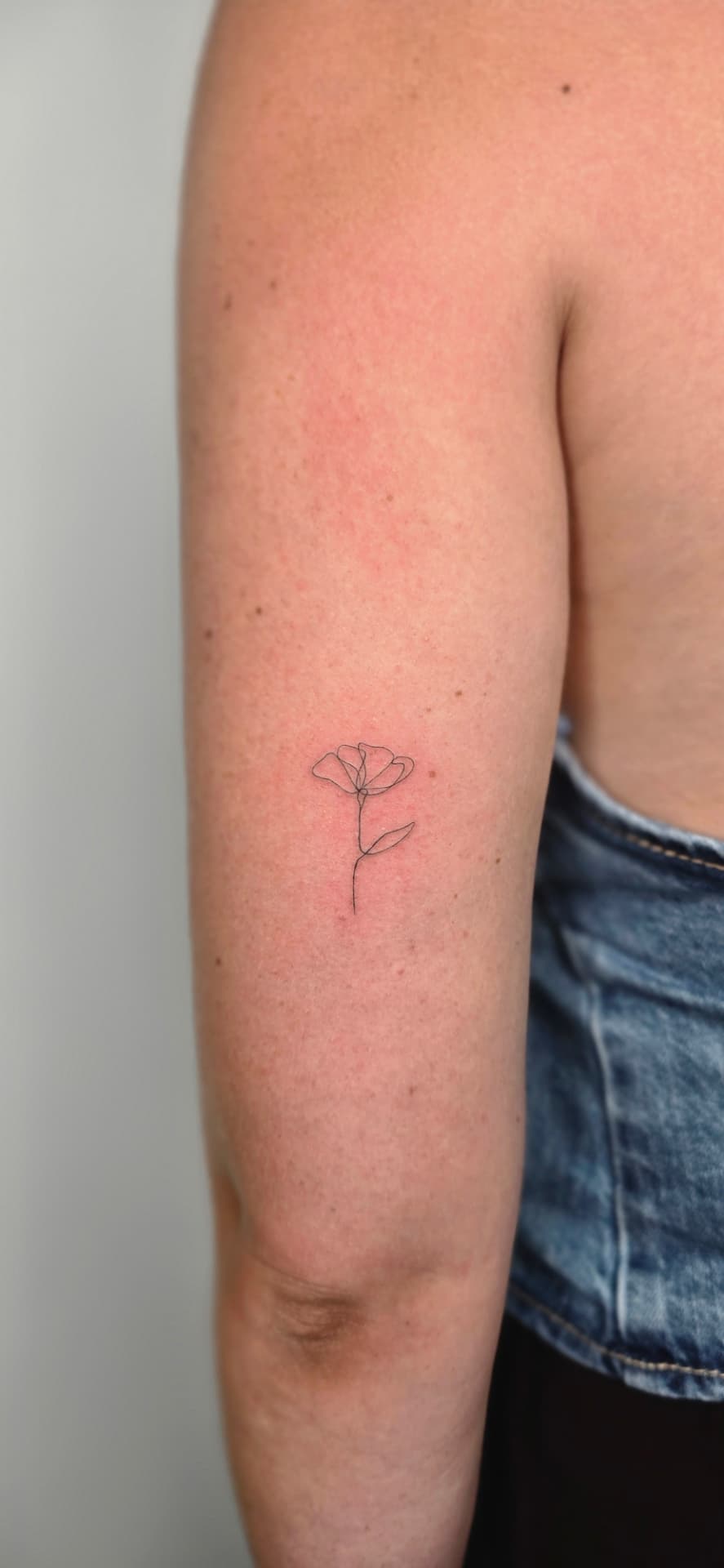 Fine Line · Funchal